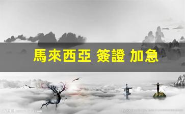 馬來西亞 簽證 加急(馬來西亞簽證加急)